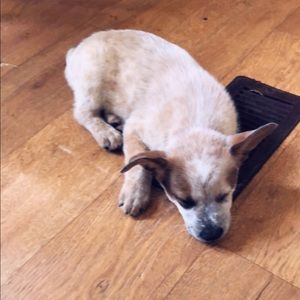 Meet your Posher, Tina